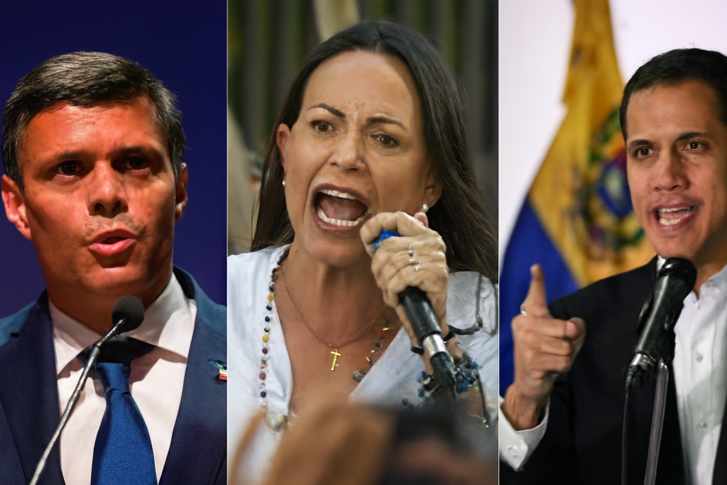 Algunas Pinceladas Sobre la Oposición Extremista de Venezuela